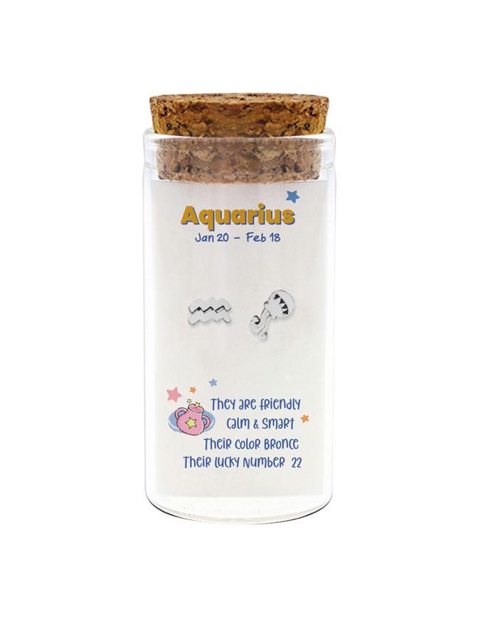 Zodiac Studs — Aquarius