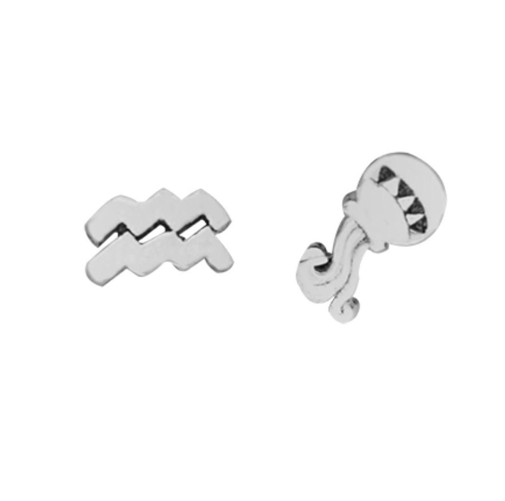 Zodiac Studs — Aquarius