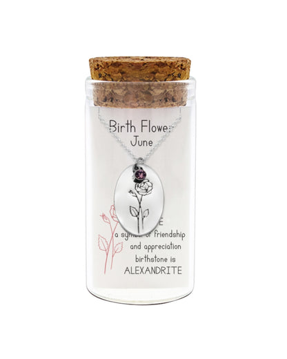 Glass jar with cork lid containing a necklace with a pendant, on a white background